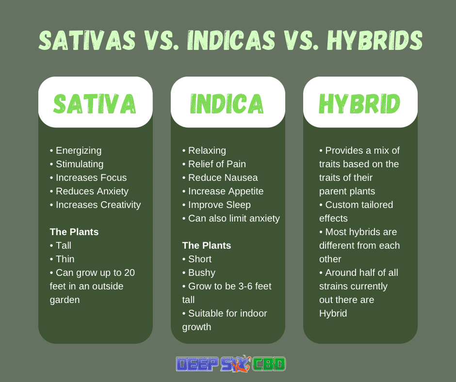 Sativa Vs. Indica Vs. Hybrids: Why Should I Know The Difference - Deep ...